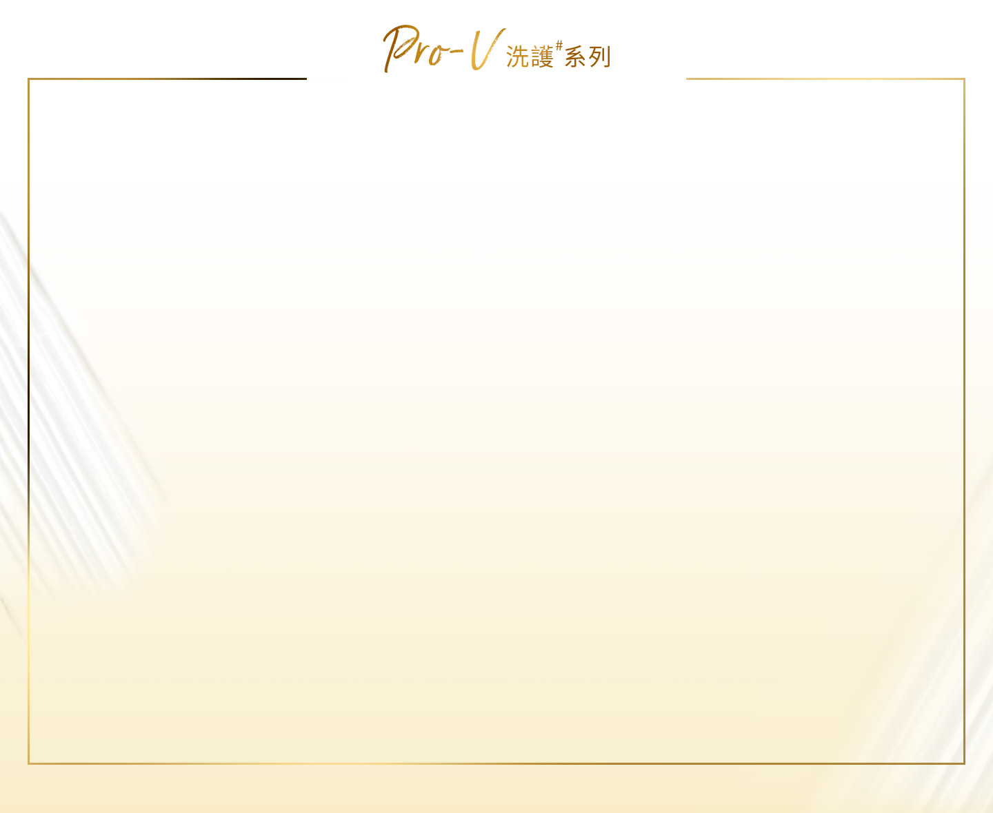 PRO-V 洗護系列 多方位滿足不同需求